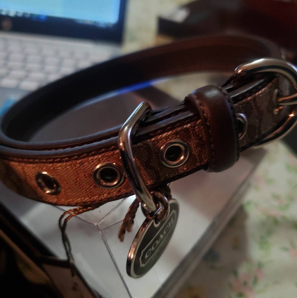 COACH MINSIG DOG COLLAR